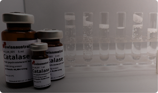 Enzymes
